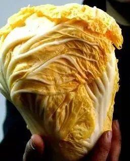 不做吃瓜群众视频,深度解析不做吃瓜群众的背后意义