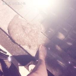 精神小妹吃瓜打架