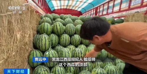 乐子人吃瓜搞钱,揭秘网络红人如何轻松赚钱