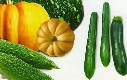 今夏吃瓜视频大全,笑料百出，精彩纷呈