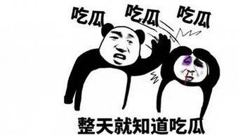 吃瓜界比赛,一场舌尖上的竞技盛宴