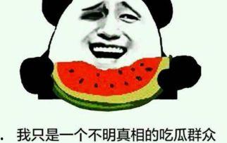 吃瓜群众来历视频,一场网络文化的演变之旅