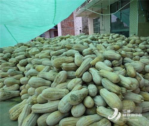 荥经桥吃瓜,探寻千年古桥的“吃瓜”传奇