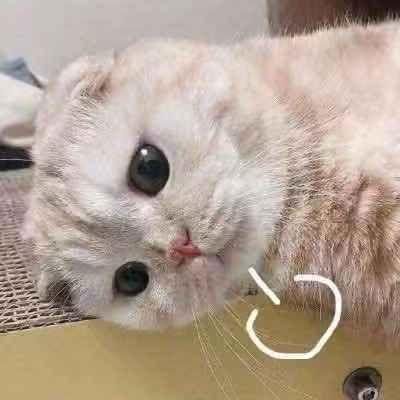 平平无奇的吃瓜,揭秘娱乐圈幕后真相