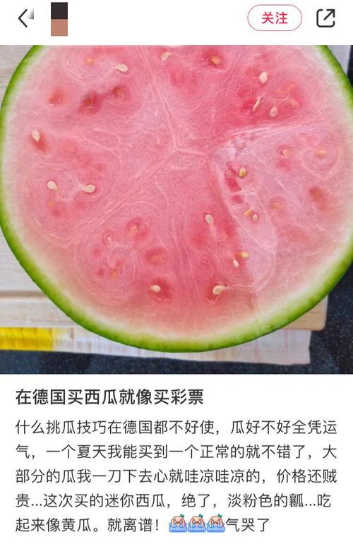 全球吃瓜全部,一场全民参与的美食狂欢